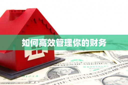 凤台如何高效管理你的财务