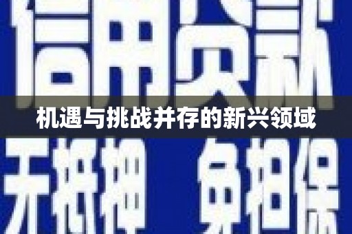 凤台机遇与挑战并存的新兴领域