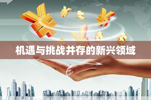 凤台机遇与挑战并存的新兴领域