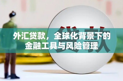 凤台外汇贷款，全球化背景下的金融工具与风险管理